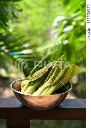 Fresh Bok Choy in Bowl with Tropical Leaves Background for Healthy Food Concept Fresh Bok Choy in Bowl with Tropical Leaves Background for Healthy Food Concept 135558479
