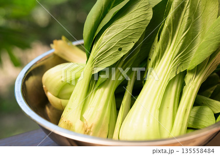 Fresh Bok Choy in Bowl with Tropical Leaves Background for Healthy Food Concept 135558484