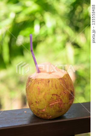 Fresh Coconut with Tropical Leaves Background for Healthy Lifestyle Concept 135558488
