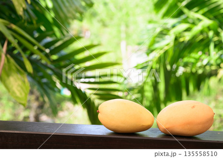 Fresh Mangoes with Tropical Leaves Background for Healthy Lifestyle Concept Fresh Mangoes with Tropical Leaves Background for Healthy Lifestyle Concept 135558510