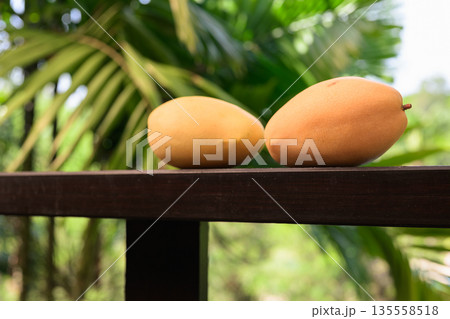 Fresh Mangoes with Tropical Leaves Background for Healthy Lifestyle Concept Fresh Mangoes with Tropical Leaves Background for Healthy Lifestyle Concept 135558518