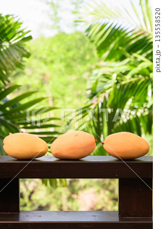 Fresh Mangoes with Tropical Leaves Background for Healthy Lifestyle Concept 135558520
