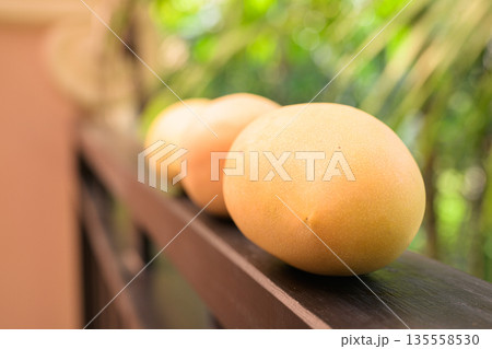 Fresh Mangoes with Tropical Leaves Background for Healthy Lifestyle Concept Fresh Mangoes with Tropical Leaves Background for Healthy Lifestyle Concept 135558530