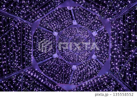 イルミネーション（光の演出） 135558552