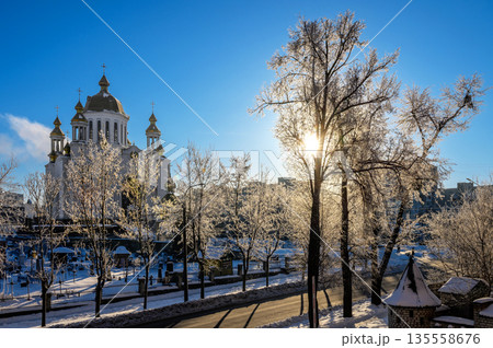 Church and frost covered tree branches on a cold winter morning. Treetops covered with snow against a blue sky. 135558676