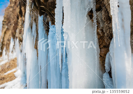 Stunning long blue icicles in winter day. 135559052