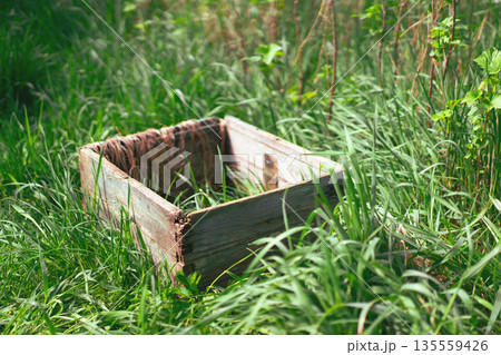 Weathered wooden beehive crate in lush green grass Weathered wooden beehive crate in lush green grass 135559426