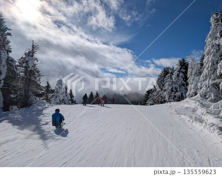 Wide ski slope with skiers descending between snowy trees and clouds. Active winter sport, mountain energy, and outdoor recreation through speed, direction, and open alpine space. Wide ski slope with skiers descending between snowy trees and clouds. Active winter sport, mountain energy, and outdoor recreation through speed, direction, and open alpine space. 135559623
