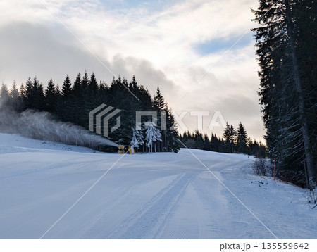 Wide groomed ski run bordered by forest and snowmaking in Kopaonik. Winter resort readiness, alpine landscape management, and calm morning atmosphere before active recreation. 135559642
