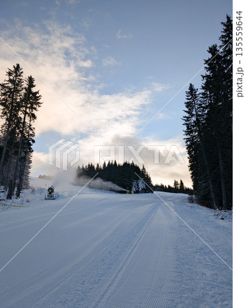 Freshly groomed ski slope with snowmaking machines in Kopaonik forest. Resort preparation, winter infrastructure, and snow reliability through technology, maintenance, and alpine operations. Freshly groomed ski slope with snowmaking machines in Kopaonik forest. Resort preparation, winter infrastructure, and snow reliability through technology, maintenance, and alpine operations. 135559644