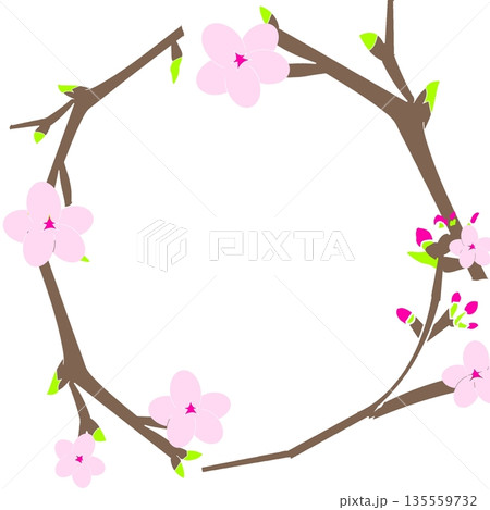 桜のフレーム（枝と花の丸いシンプルな枠） 135559732
