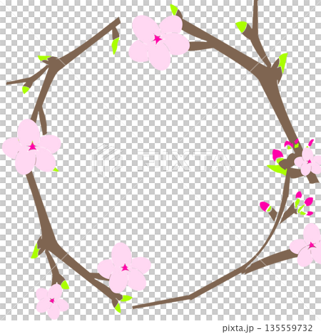 桜のフレーム（枝と花の丸いシンプルな枠） 135559732