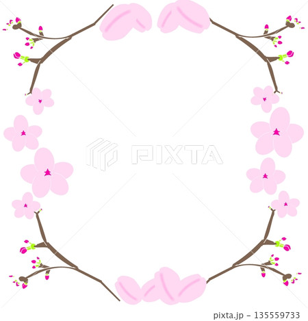 桜のフレーム（枝から花が咲いている縦長な枠） 135559733
