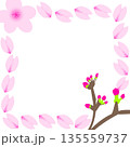 桜のフレーム（花びら中心の四角い枠） 135559737