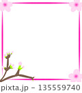 桜のフレーム（花と枝のシンプルな四角い枠） 135559740