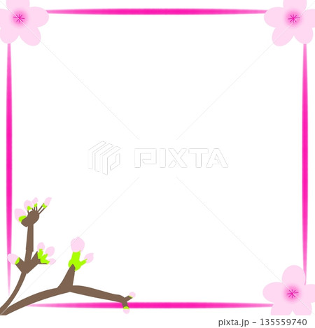桜のフレーム（花と枝のシンプルな四角い枠） 135559740