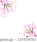 桜のフレーム（端に桜の花が集まる形） 135559741