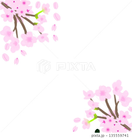 桜のフレーム（端に桜の花が集まる形） 135559741