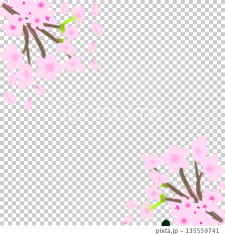 桜のフレーム（端に桜の花が集まる形） 135559741