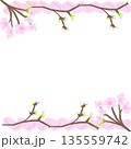 桜のフレーム（上下に枝で描いた枠） 135559742