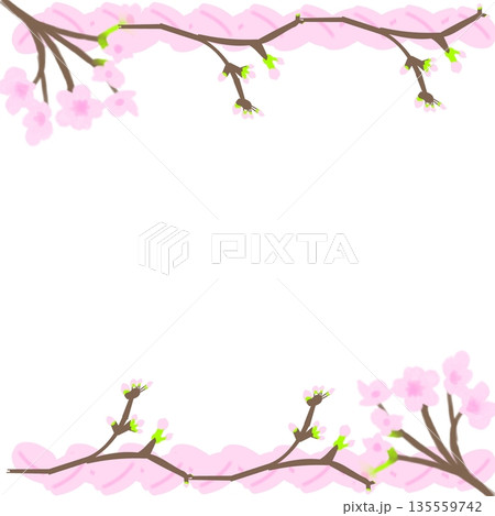 桜のフレーム（上下に枝で描いた枠） 135559742