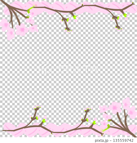 桜のフレーム（上下に枝で描いた枠） 135559742