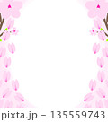 桜のフレーム（花びらが上から落ちる左右の枠） 135559743