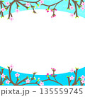 桜のフレーム（空に映える桜の枠） 135559745