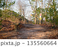 登山道 135560664