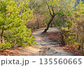 登山道 135560665