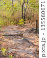 登山道 135560671