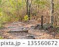 登山道 135560672