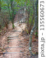 登山道 135560673