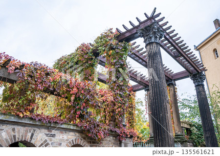 Pergola With Autumn Leaves and Columns 135561621