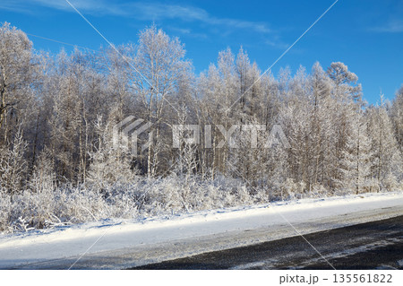 Snow on trees against a blue sky. Beautiful winter landscape 135561822