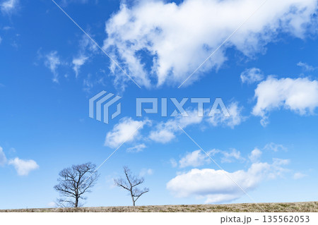 冬空と雲と草原 135562053