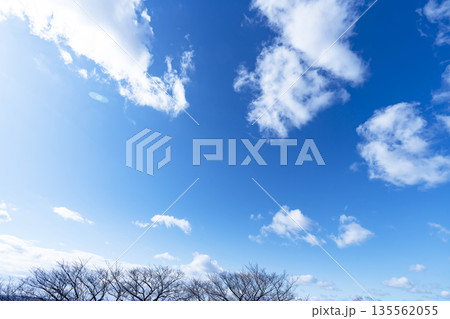 冬空と雲と木立 135562055