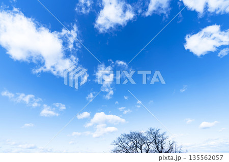 冬空と雲と木立 135562057