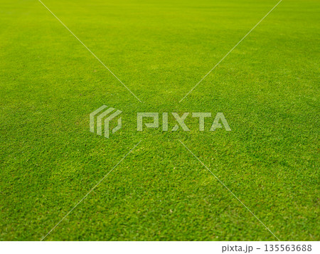 Golf course fairway under bright, natural sunlight. Golf course fairway under bright, natural sunlight. 135563688