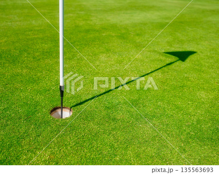 Golf hole with a flag on a lush green putting green during a bright sunny day. 135563693