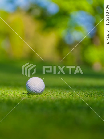 Vertical close-up of a golf ball on green grass under bright sun. Vertical close-up of a golf ball on green grass under bright sun. 135563706