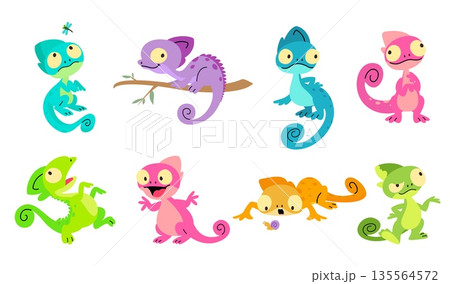 Chameleon. Different salamanders, lizards, chameleons various poses. Vibrant wild characters hunting, looking on insects, sitting on tree branch, nowaday vector set Chameleon. Different salamanders, lizards, chameleons various poses. Vibrant wild characters hunting, looking on insects, sitting on tree branch, nowaday vector set 135564572