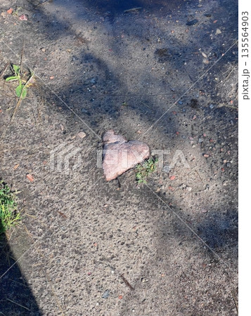 A heart-shaped rock rests on a concrete surface, partially surrounded by grass and dirt, cleverly blending natural beauty with urban settings, inviting curiosity A heart-shaped rock rests on a concrete surface, partially surrounded by grass and dirt, cleverly blending natural beauty with urban settings, inviting curiosity 135564903