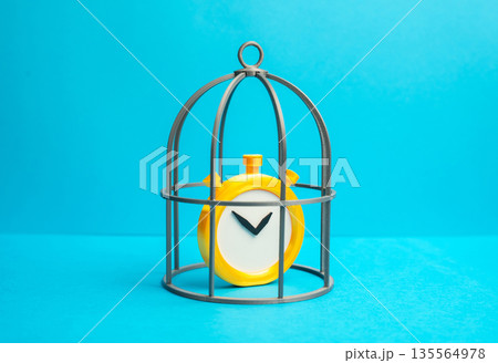 A stopwatch enclosed in a cage. Stop time, freeze deadlines. Postpone the deadline. Delay strategy concept, controlled pause and relief from pressure. Time management choices, extensions 135564978