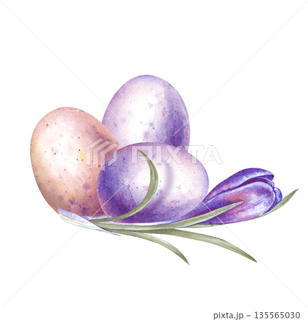A beautiful composition with colored eggs and purple primroses. Watercolor spring illustration on an isolated background. Realistic clipart with a crocus flower and oval eggs for decorating the spring A beautiful composition with colored eggs and purple primroses. Watercolor spring illustration on an isolated background. Realistic clipart with a crocus flower and oval eggs for decorating the spring 135565030