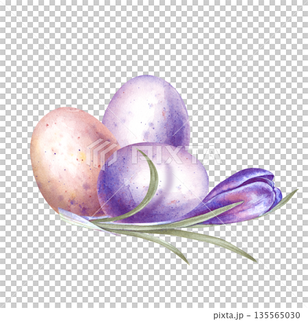 A beautiful composition with colored eggs and purple primroses. Watercolor spring illustration on an isolated background. Realistic clipart with a crocus flower and oval eggs for decorating the spring A beautiful composition with colored eggs and purple primroses. Watercolor spring illustration on an isolated background. Realistic clipart with a crocus flower and oval eggs for decorating the spring 135565030