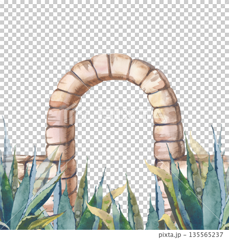 An ancient stone arch with green aloe vera bushes. Watercolor illustration of an arched passage in natural colors on an isolated background. Realistic clipart of the Greek architectural element. An ancient stone arch with green aloe vera bushes. Watercolor illustration of an arched passage in natural colors on an isolated background. Realistic clipart of the Greek architectural element. 135565237