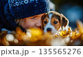 Adorable toddler gently playing with beagle puppy outdoors among autumn leaves in warm natural light 135565276
