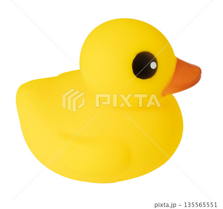 Yellow rubber duck toy isolated on white background 135565551