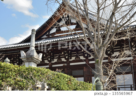 金戒光明寺 御影堂 側面より(京都市左京区) 金戒光明寺 御影堂 側面より(京都市左京区) 135565967